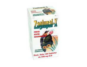 Zaglupal